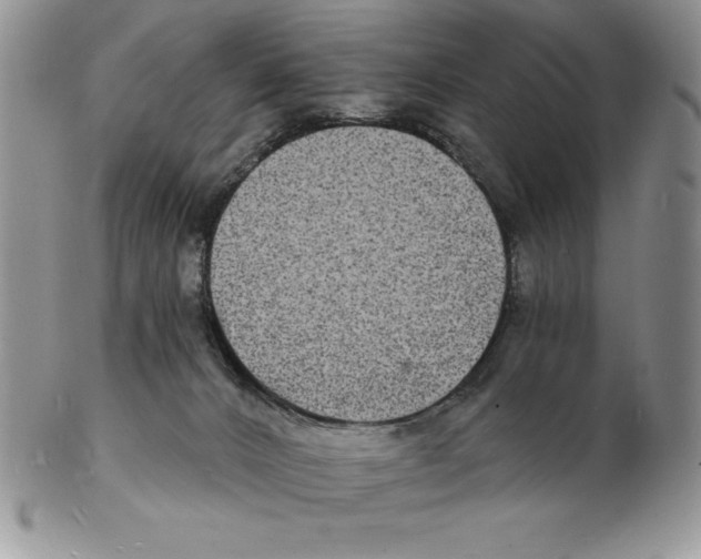 X0000102220032200808221255