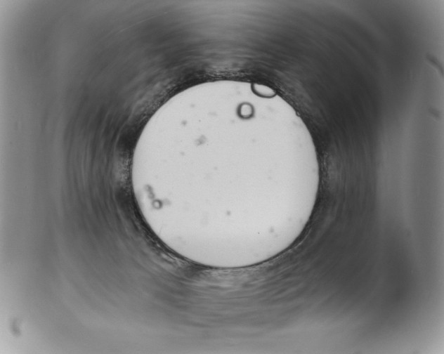 X0000102220033200808221255