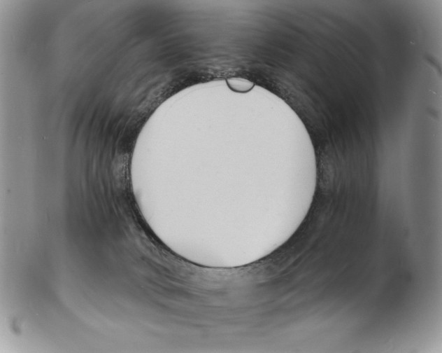 X0000102220034200808221255