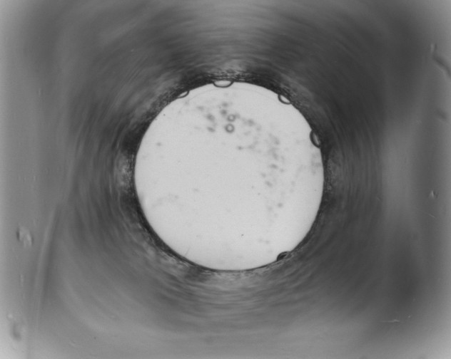 X0000102220037200808221255