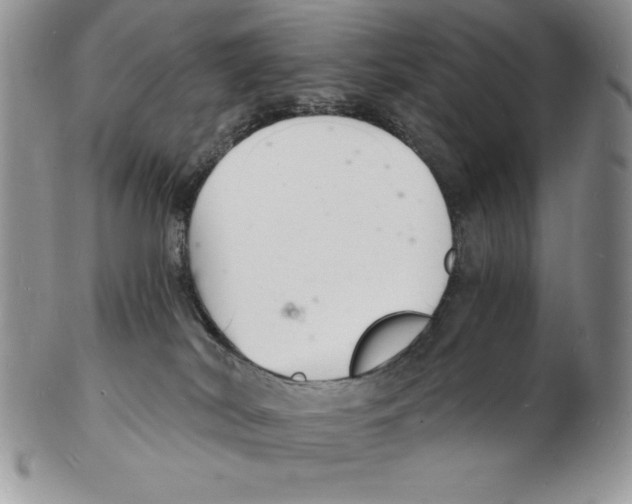 X0000102220038200808221255