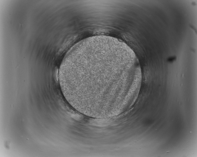 X0000102220041200808221255