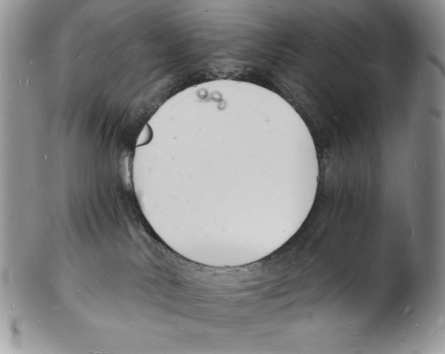 X0000102220042200808221255