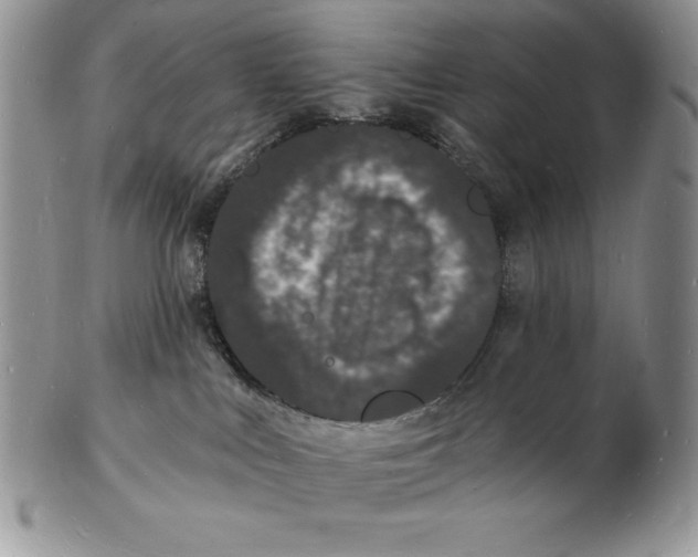 X0000102220043200808221255