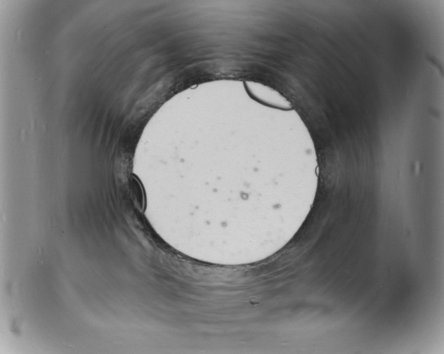 X0000102220044200808221255