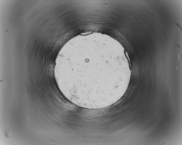 X0000102220045200808221255