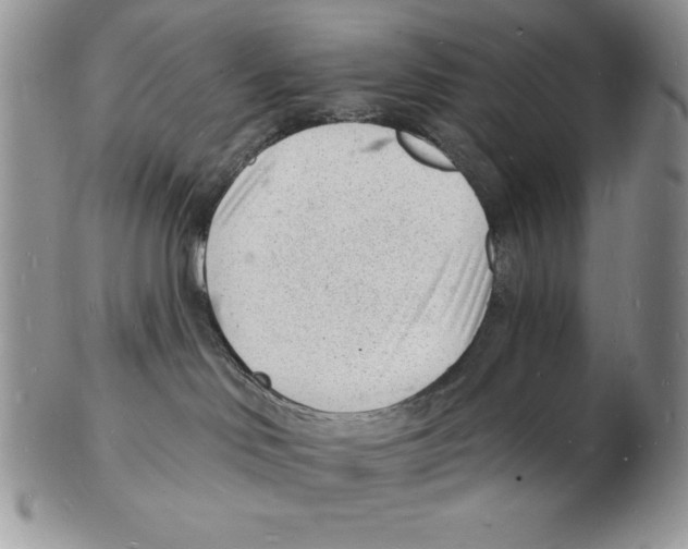 X0000102220046200808221255