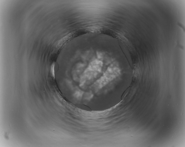 X0000102220047200808221255