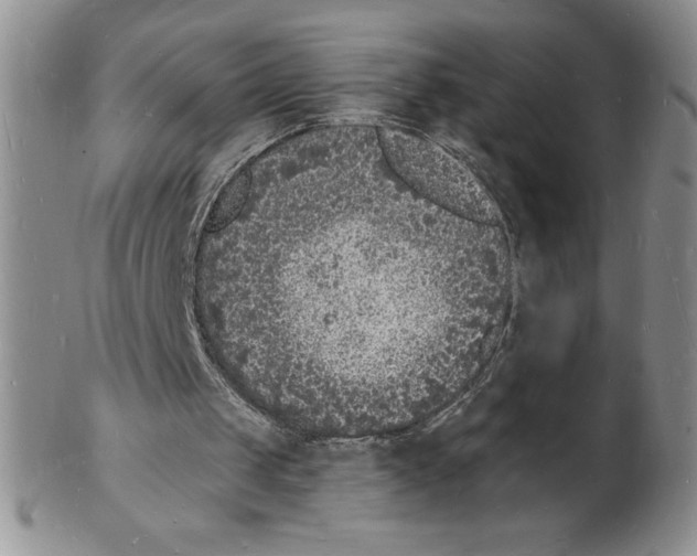 X0000102220049200808221255