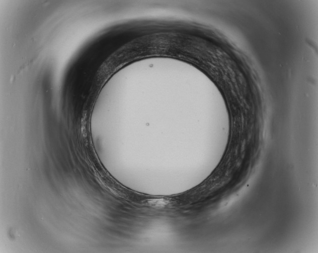 X0000102220050200808221255