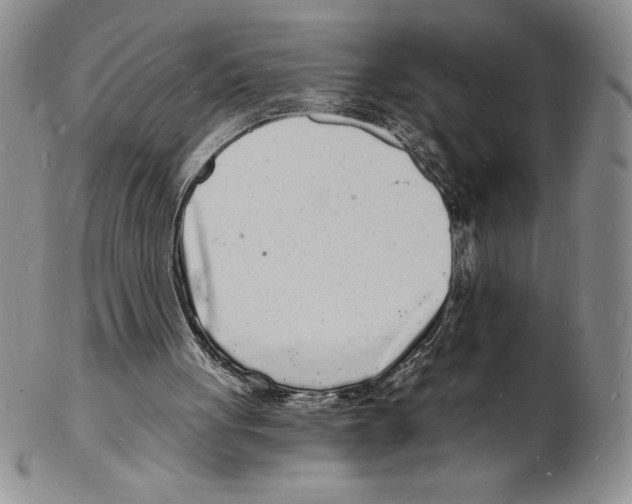 X0000102220051200808221255