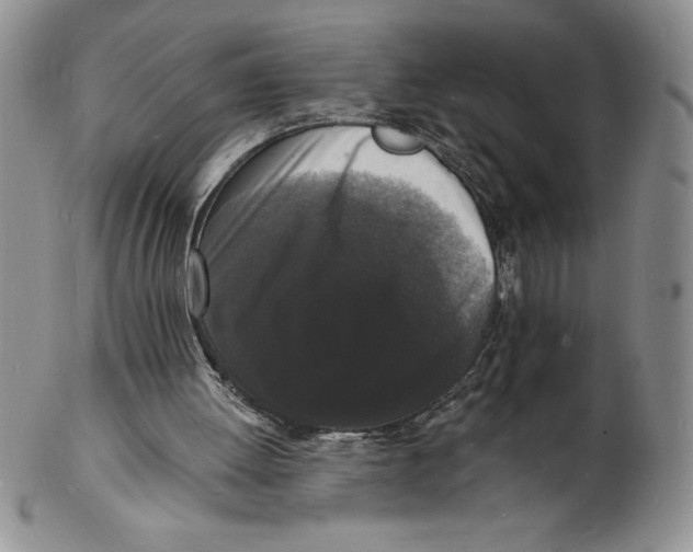 X0000102220052200808221255