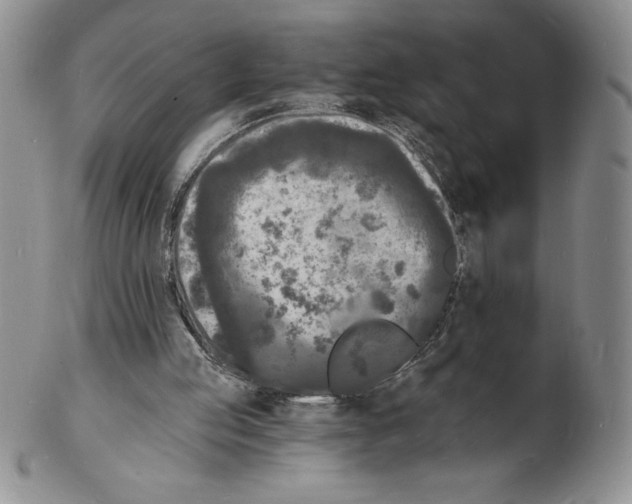 X0000102220053200808221255