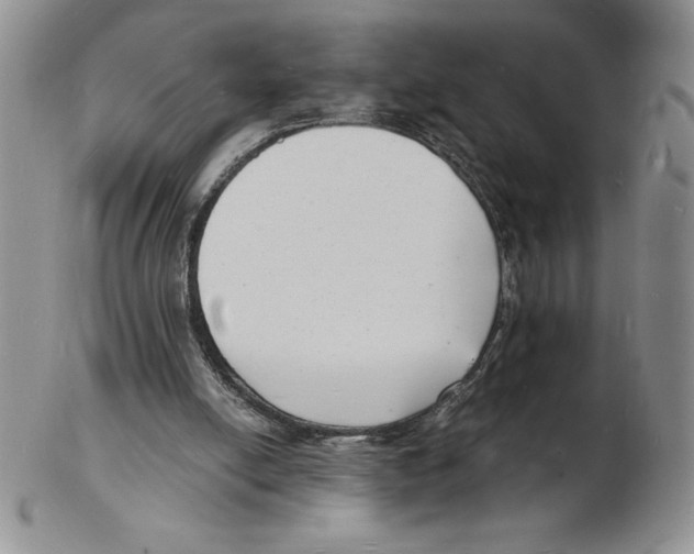 X0000102220054200808221255