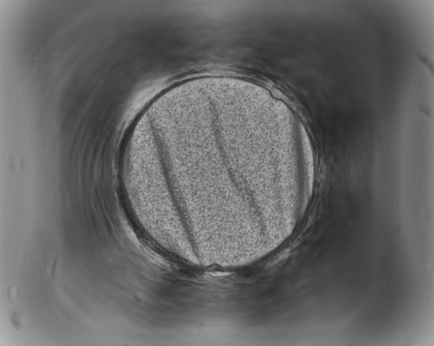 X0000102220055200808221255