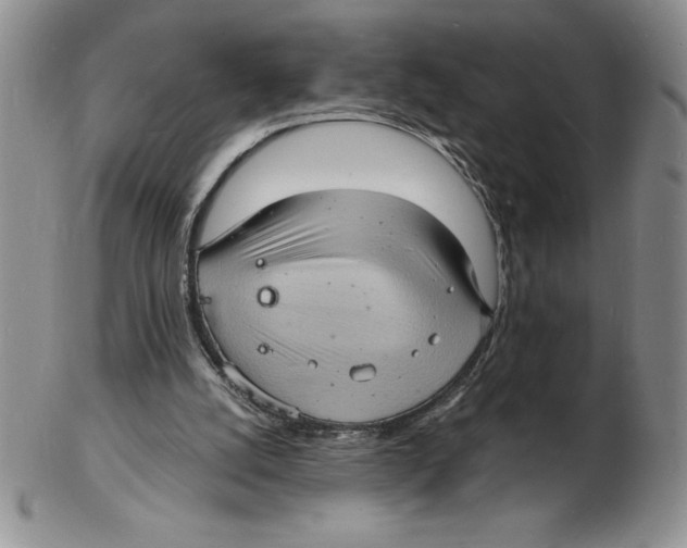 X0000102220056200808221255