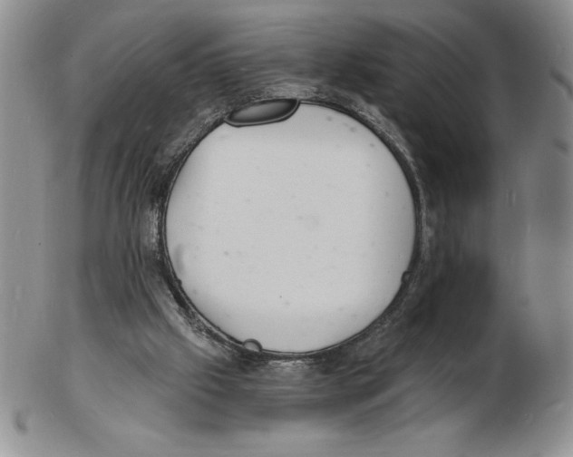 X0000102220057200808221255