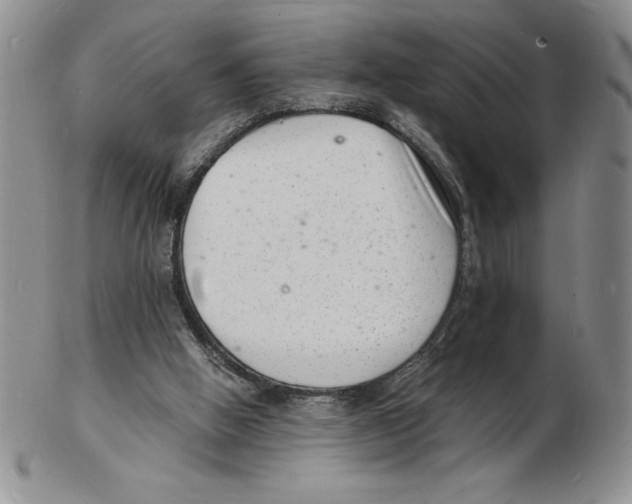 X0000102220058200808221255