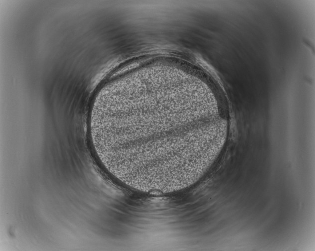 X0000102220059200808221255