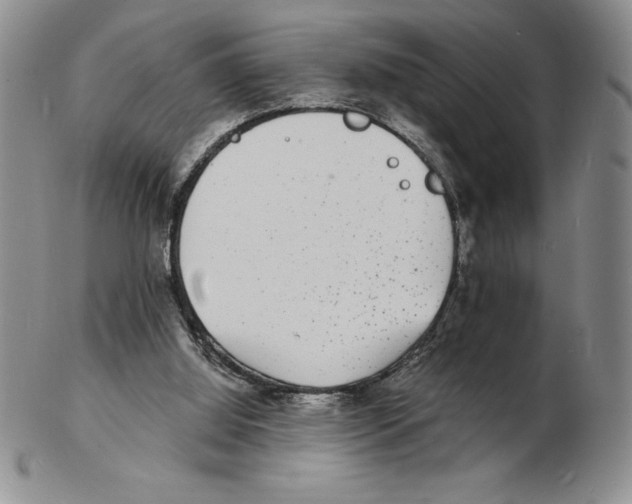 X0000102220060200808221255