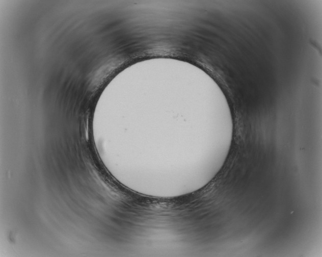 X0000102220062200808221255