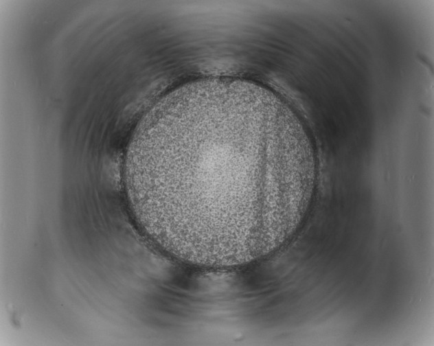 X0000102220065200808221255