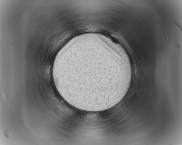 X0000102220066200808221255