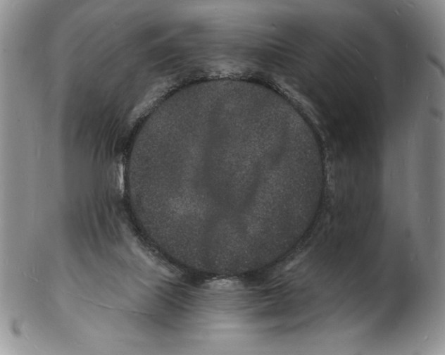 X0000102220067200808221255