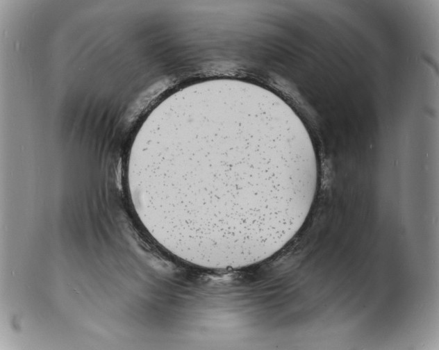 X0000102220068200808221255