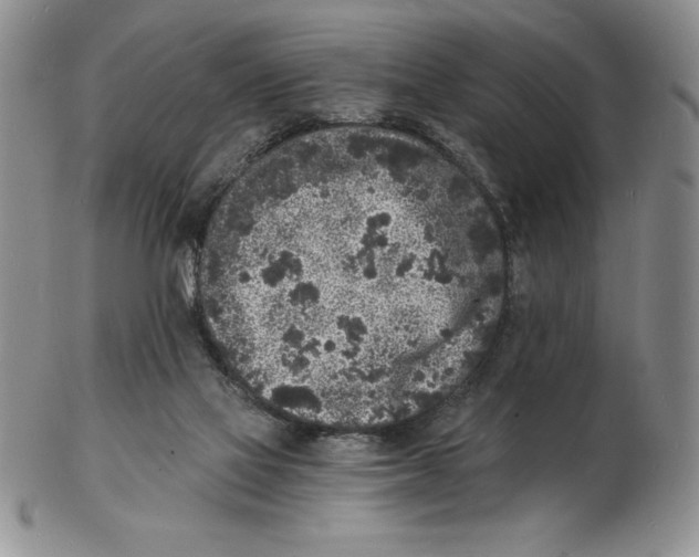 X0000102220069200808221255