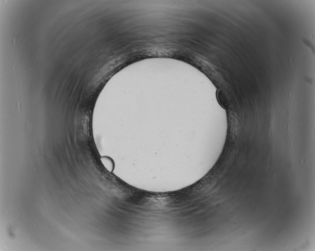 X0000102220071200808221255