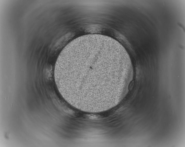 X0000102220073200808221255