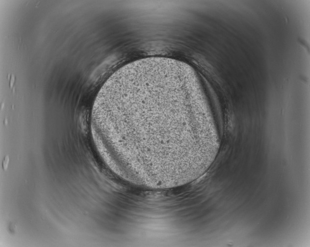 X0000102220074200808221255