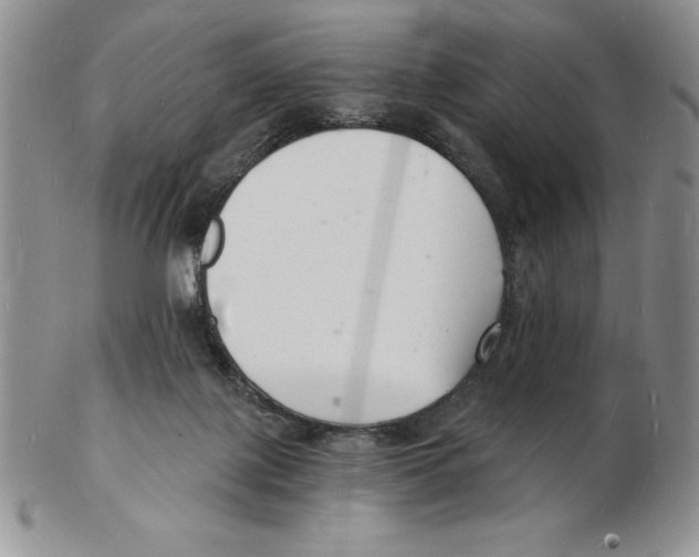 X0000102220075200808221255