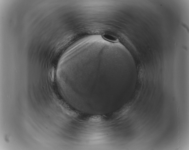 X0000102220076200808221255