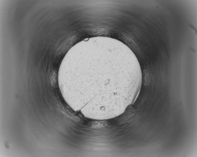 X0000102220077200808221255