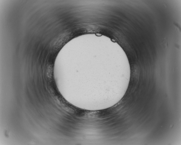 X0000102220078200808221255