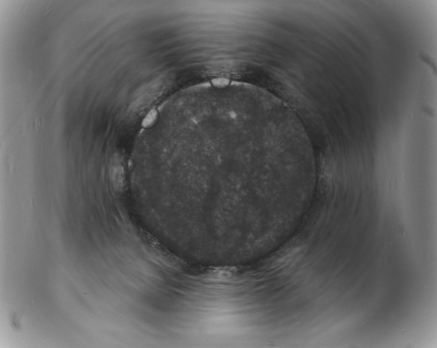 X0000102220080200808221255