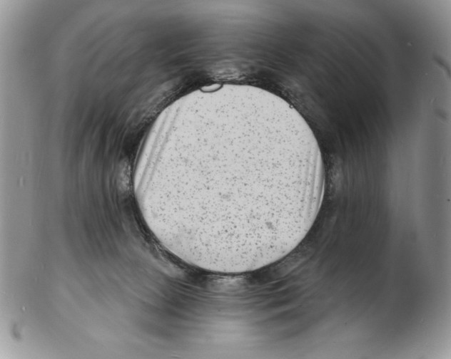 X0000102220081200808221255