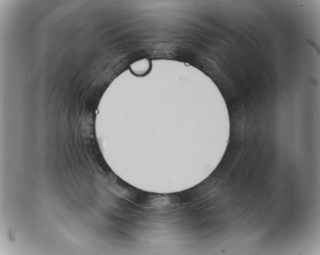 X0000102220083200808221255