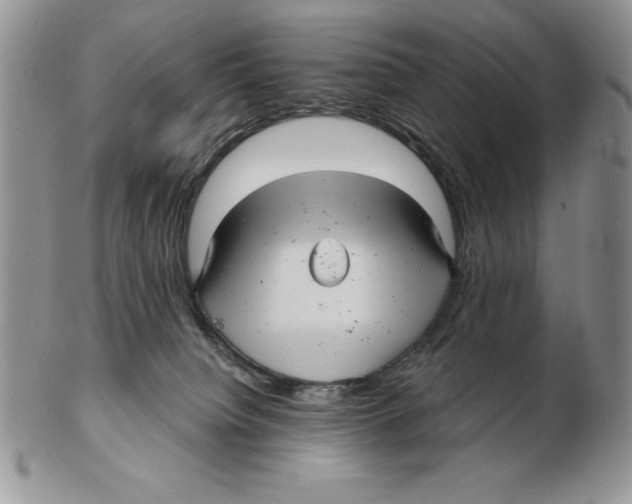 X0000102220084200808221255