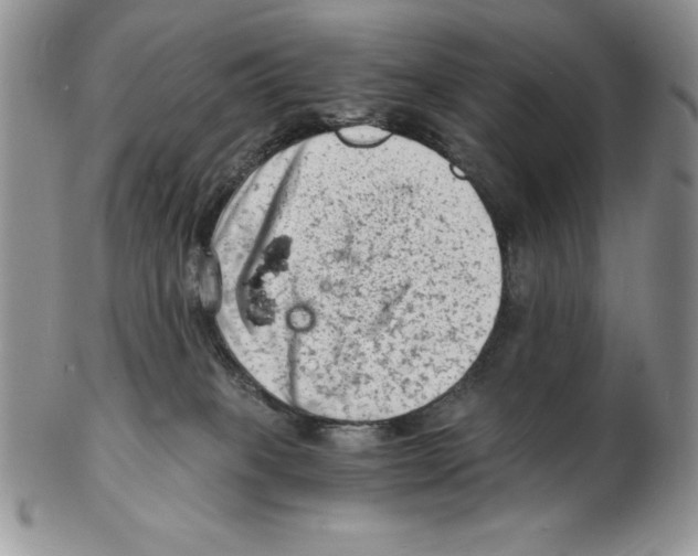 X0000102220085200808221255