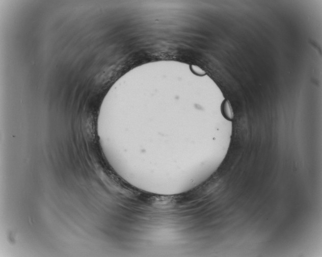 X0000102220088200808221255