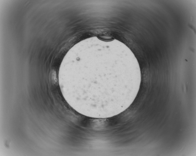 X0000102220089200808221255