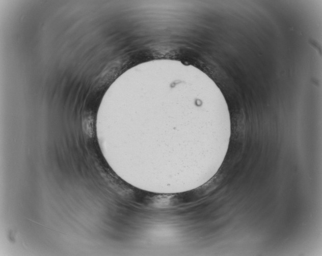 X0000102220090200808221255