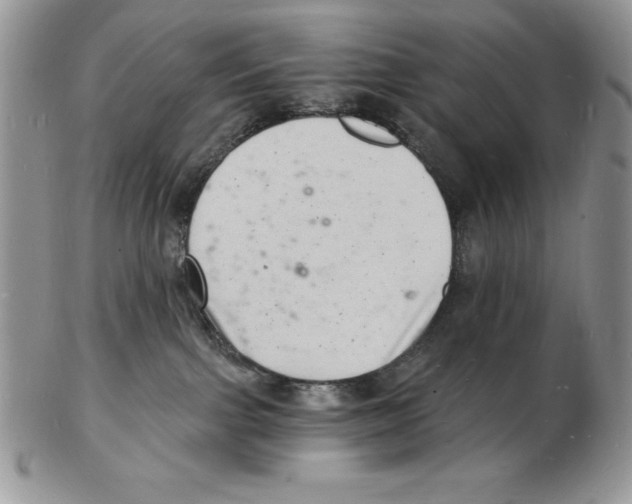 X0000102220091200808221255