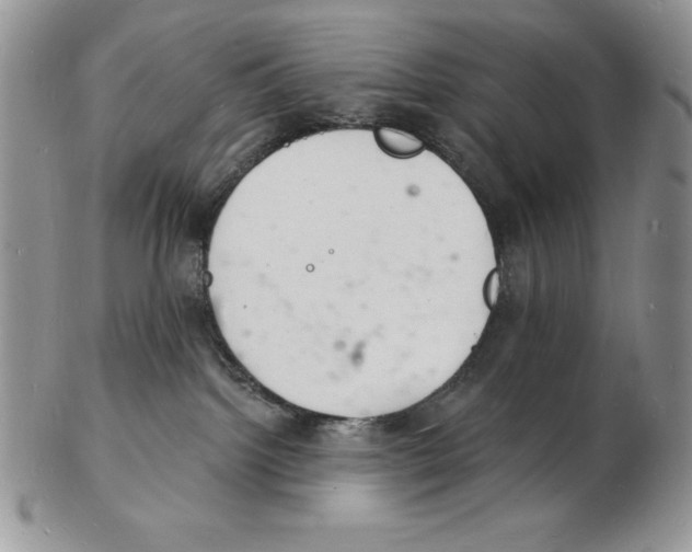 X0000102220092200808221255