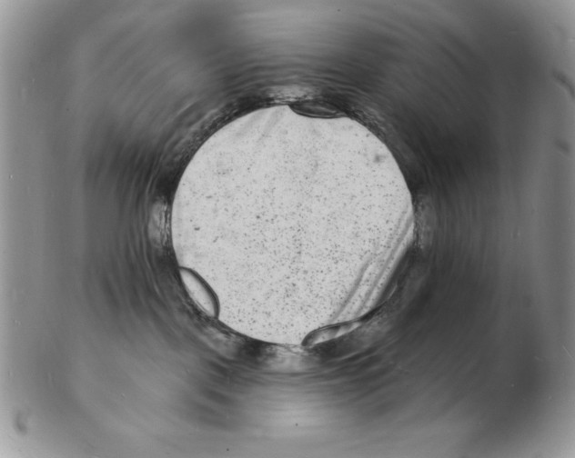 X0000102220093200808221255