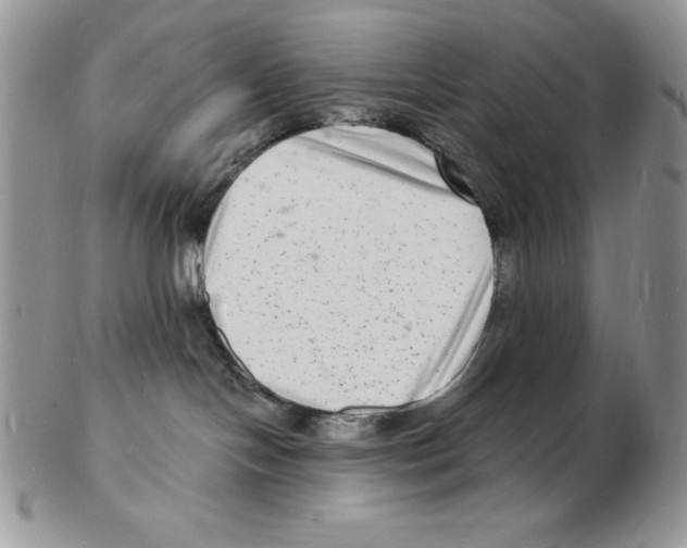 X0000102220094200808221255