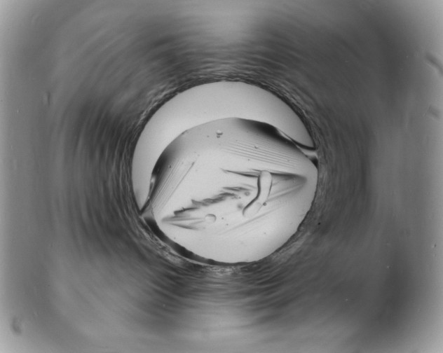 X0000102220096200808221255